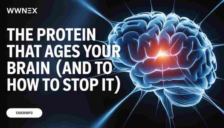 Futuristic digital representation of an aging brain being restored by protein-targeted therapies