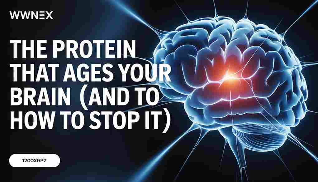 Futuristic digital representation of an aging brain being restored by protein-targeted therapies